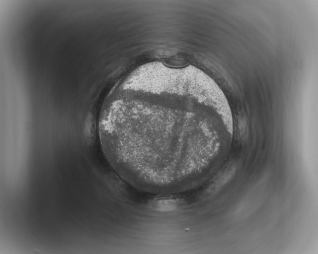 X0000100910228200807220957