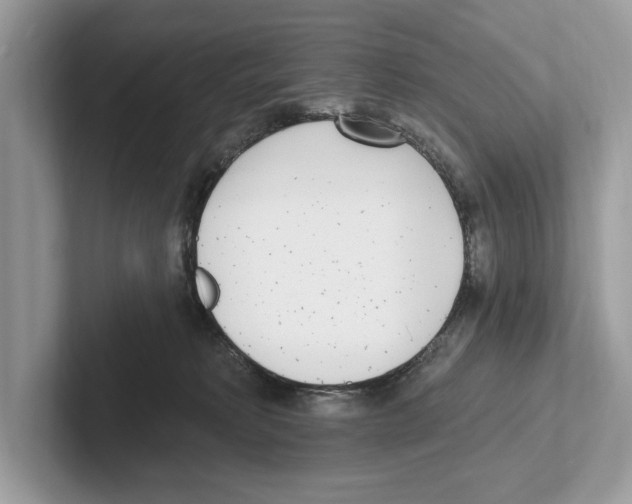 X0000100910229200807220957