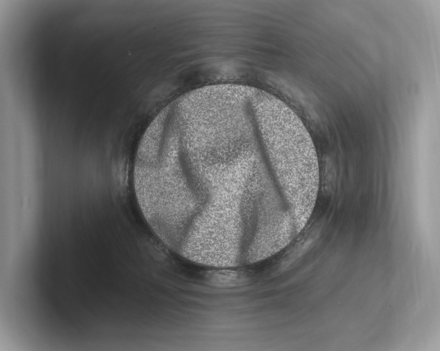 X0000100910230200807220957