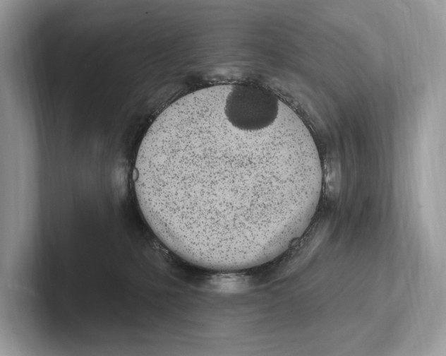 X0000100910231200807220957