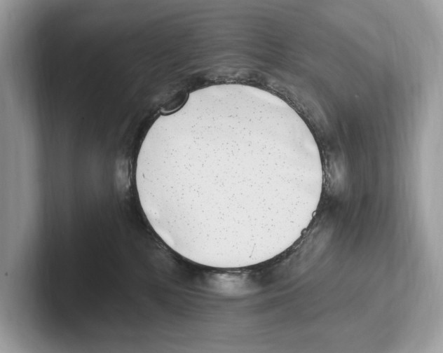 X0000100910232200807220957