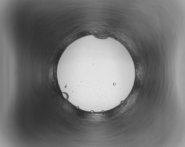 X0000100910233200807220957