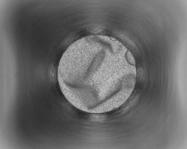 X0000100910234200807220957