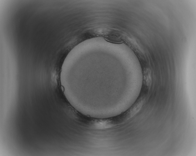 X0000100910235200807220957