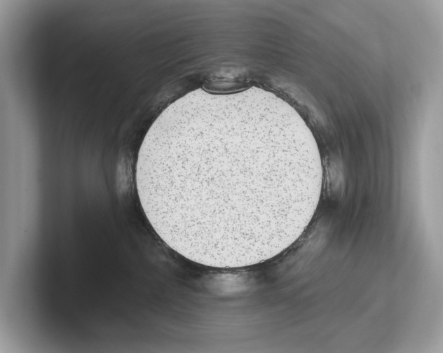 X0000100910236200807220957