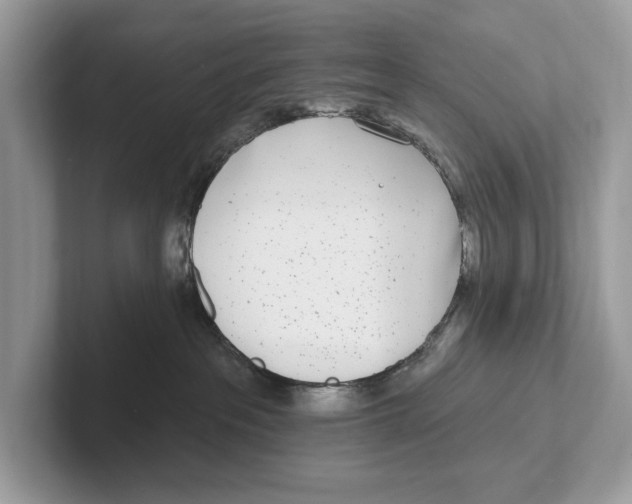X0000100910237200807220957