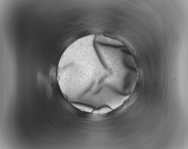 X0000100910238200807220957
