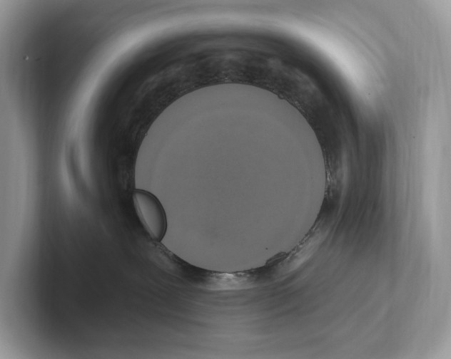 X0000100910239200807220957