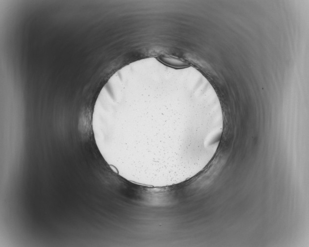 X0000100910240200807220957