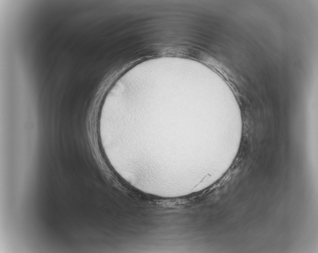 X0000100910241200807220956