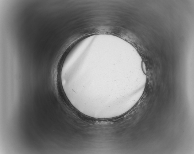 X0000100910242200807220956