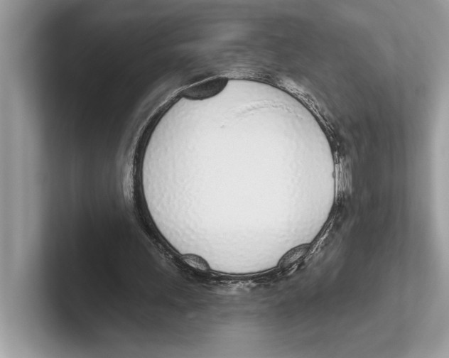 X0000100910243200807220956
