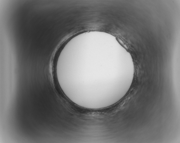 X0000100910244200807220956