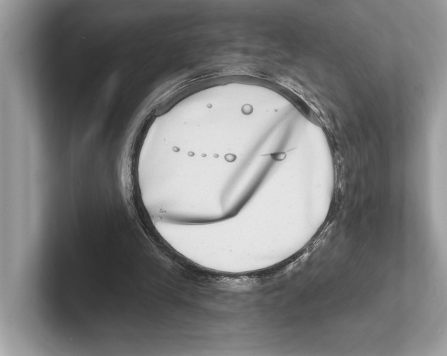 X0000100910245200807220956