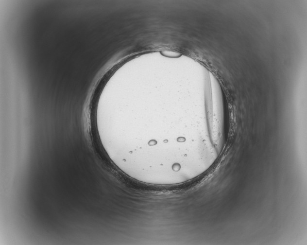 X0000100910246200807220956