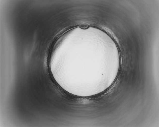 X0000100910249200807220956