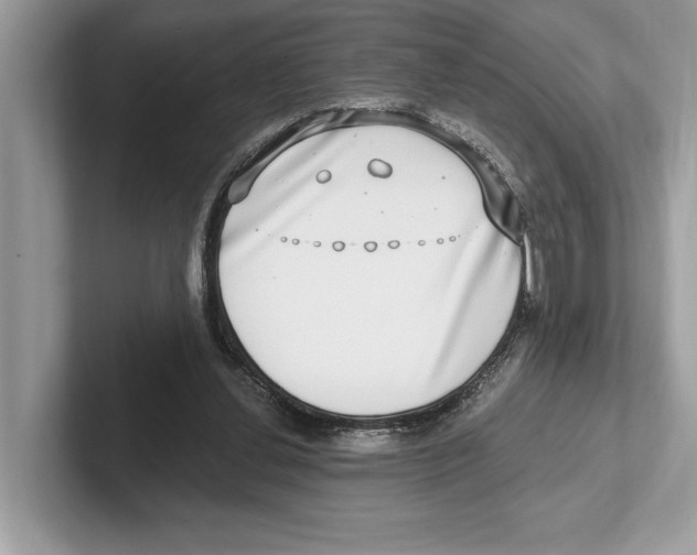 X0000100910252200807220956