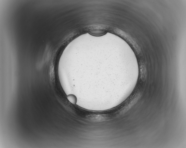 X0000100910254200807220956