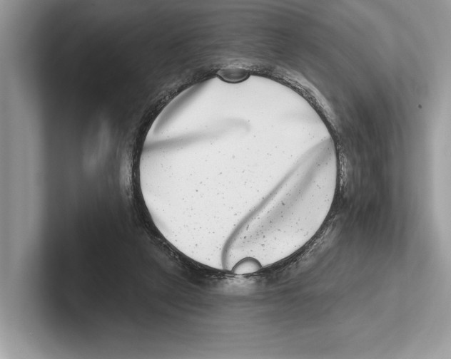 X0000100910257200807220956