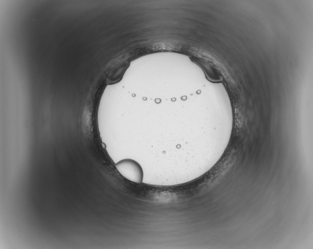 X0000100910258200807220956