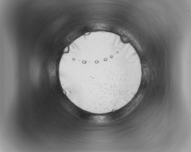 X0000100910265200807220957
