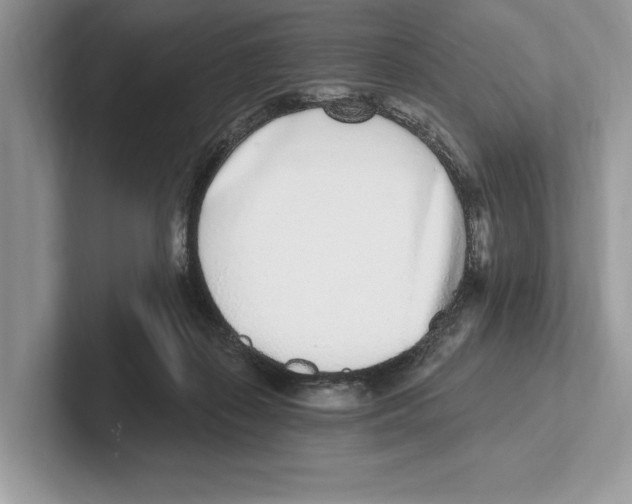 X0000100910267200807220957