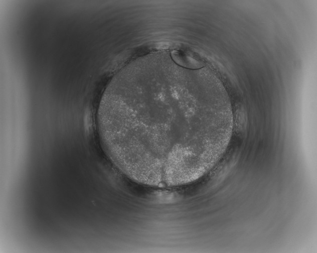 X0000100910272200807220957