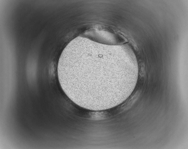 X0000100910273200807220957