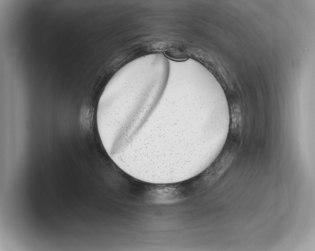 X0000100910278200807220957