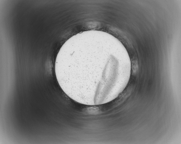 X0000100910279200807220957