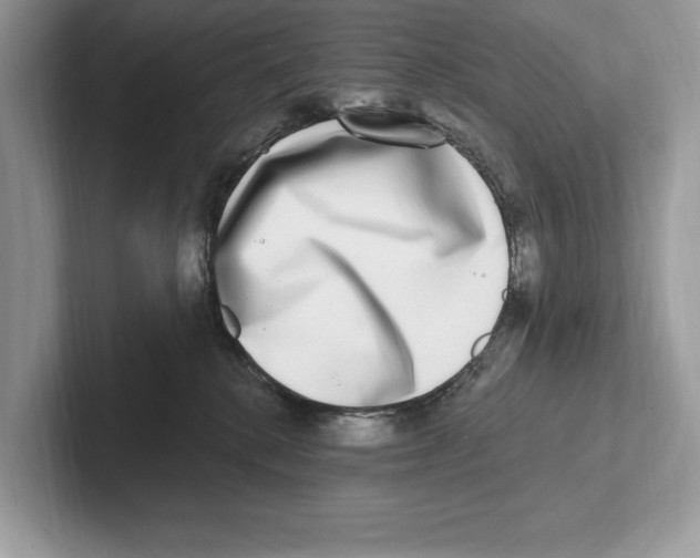 X0000100910280200807220957