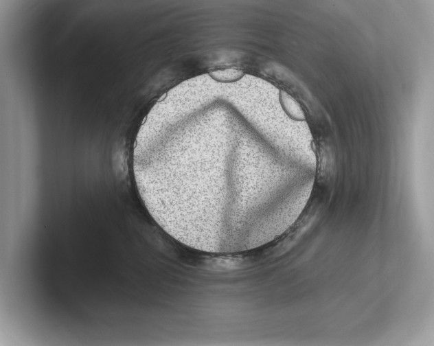 X0000100910282200807220957
