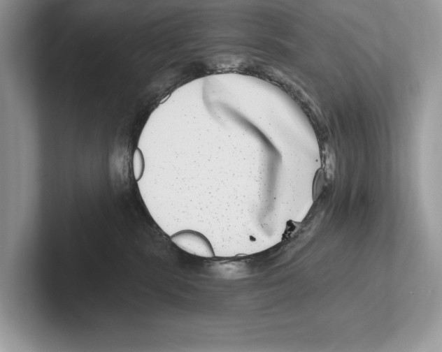X0000100910283200807220957