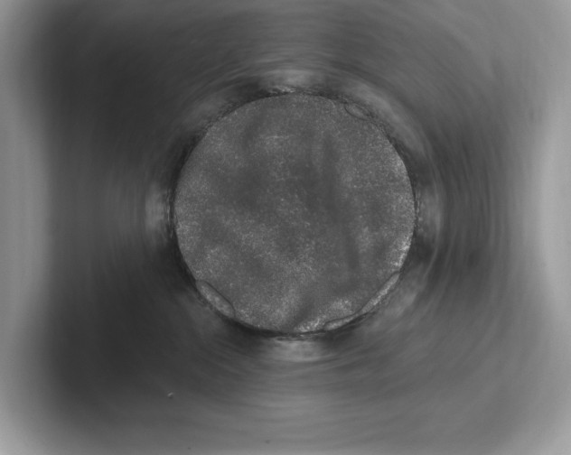 X0000100910284200807220957