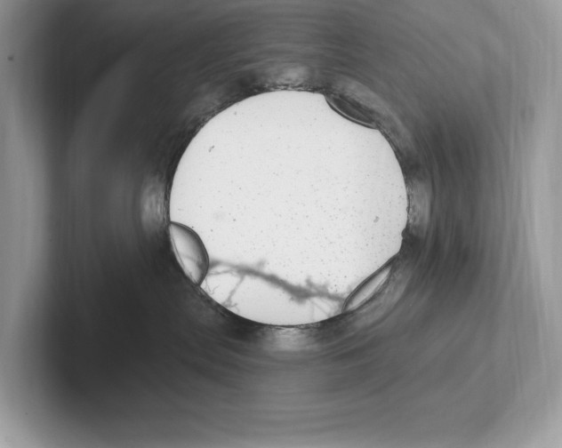 X0000100910287200807220957