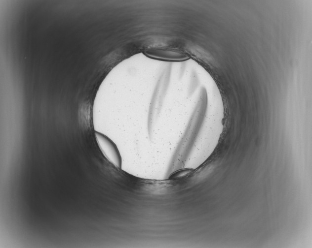 X0000100910288200807220957
