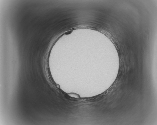 X0000100910289200807220956