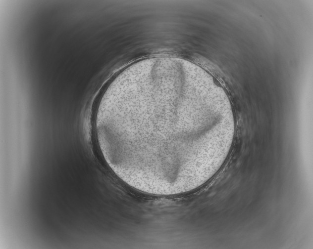 X0000100910290200807220956