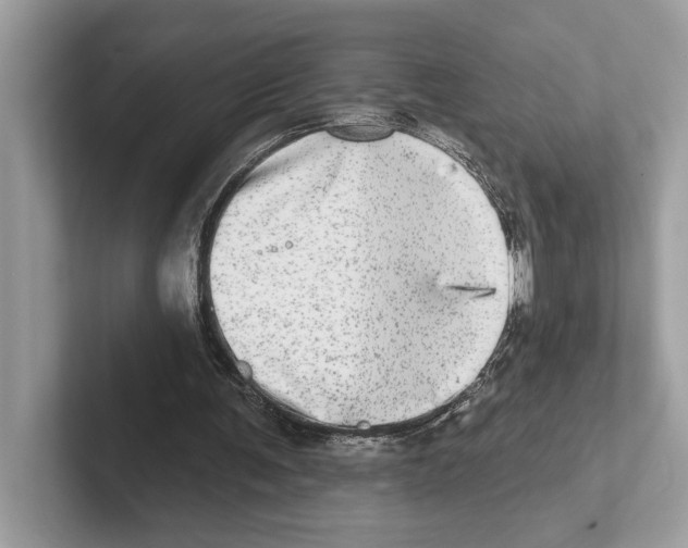 X0000100910291200807220956