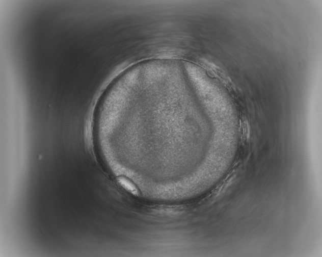 X0000100910292200807220956