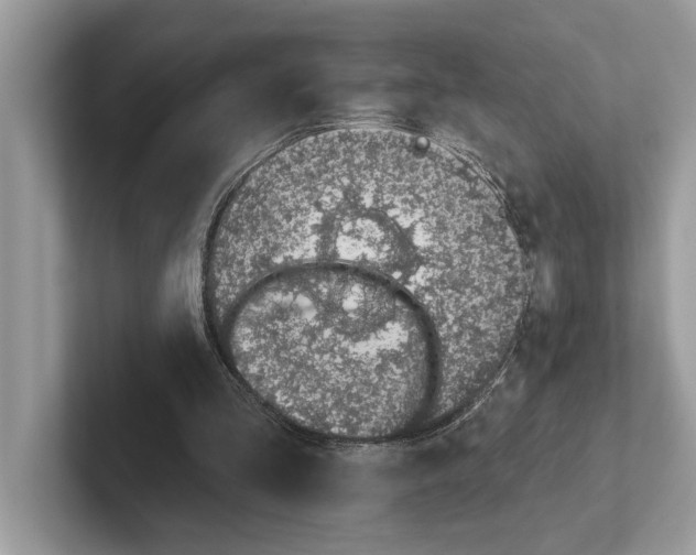 X0000100910293200807220956