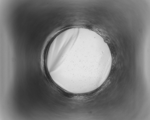 X0000100910294200807220956