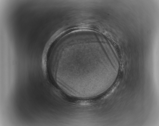 X0000100910295200807220956