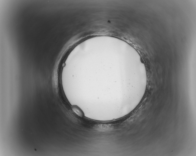 X0000100910296200807220956