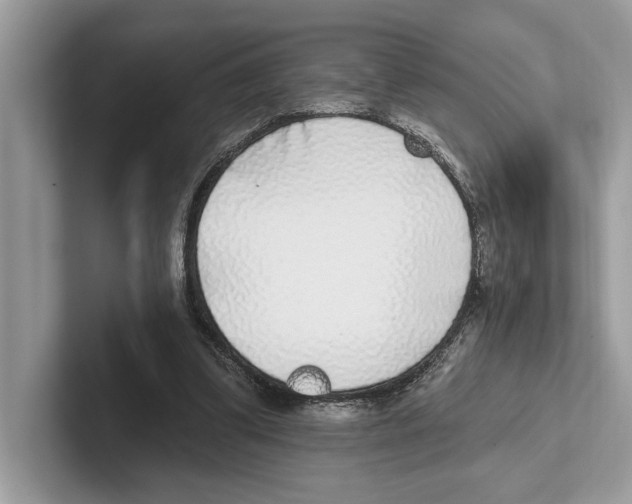X0000100910299200807220956