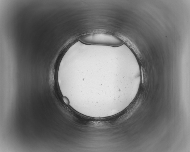 X0000100910300200807220956