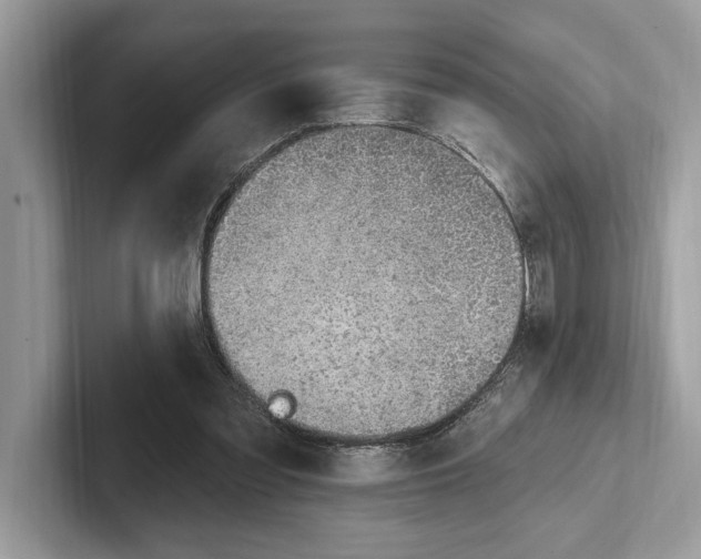 X0000100910301200807220956