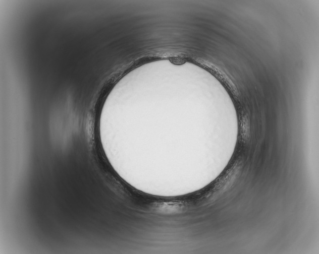 X0000100910303200807220956
