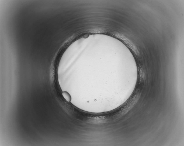 X0000100910304200807220956