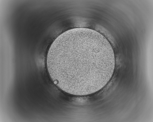 X0000100910305200807220956